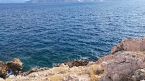 IMG-20260315-WA0055